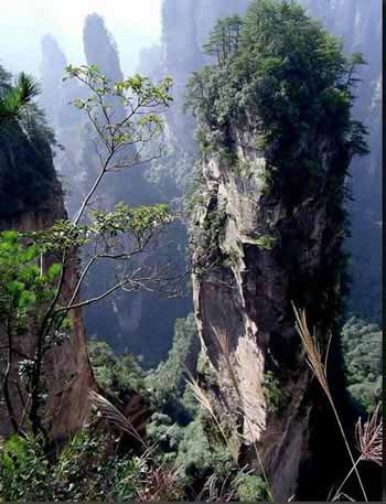 長沙出發(fā)到張家界溶洞奇觀黃龍洞、國家森林公園、袁家界、峰林之王天子山三日游（早班）